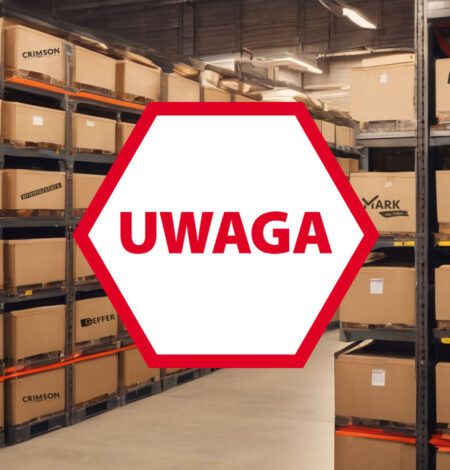 PRACA W PRZERWIE MIĘDZYŚWIĄTECZNEJ PRACA W PRZERWIE MIĘDZYŚWIĄTECZNEJ