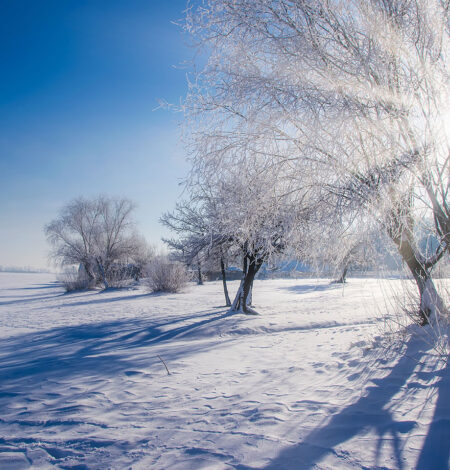 Promocja na Kurtki Zimowe